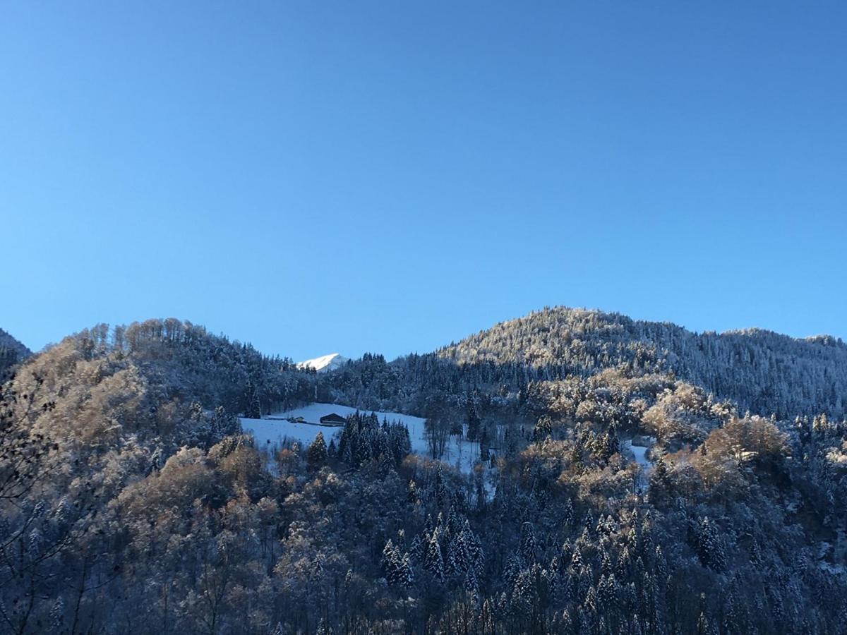 Nant D Ant Lejlighed Samoëns Eksteriør billede