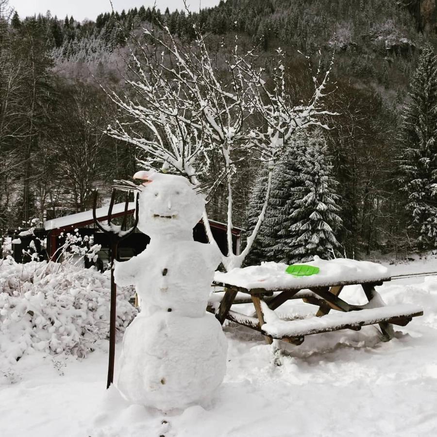 Nant D Ant Lejlighed Samoëns Eksteriør billede